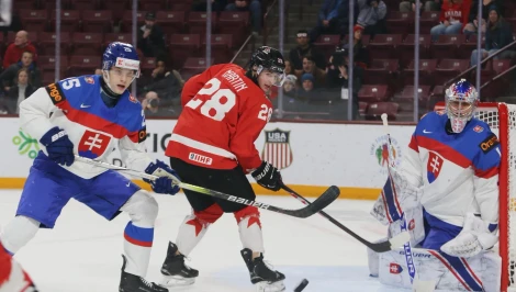 Slováci končia na MS, Česi s bezchybným výkonom