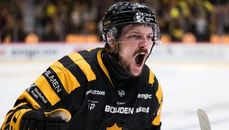 Skelleftea ovládla švédsku ligu, rozhodol OKULIAR