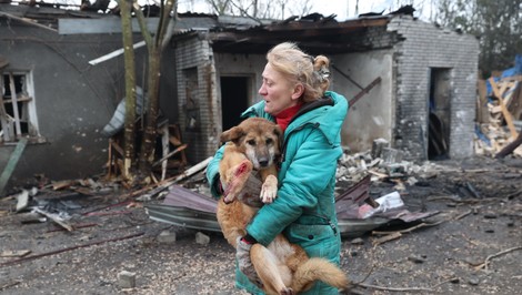 Rusi zasiahli psí útulok. Na mieste je mnoho mŕtvych zvierat