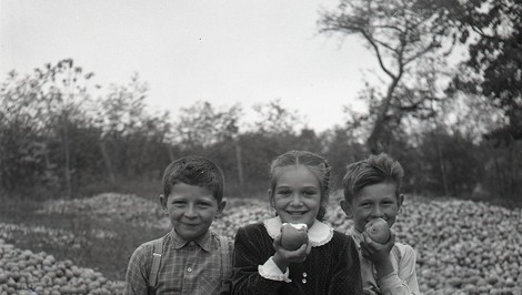 Ovocie s pamäťou krajiny: Prečo by sme nemali zabudnúť na staré odrody