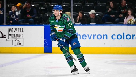 JEDLIČKA konečne bodoval v nižšej AHL