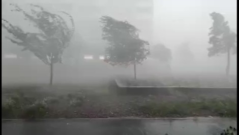 Stromy ako zápalky, po búrkach aj zranení, vietor takmer 120 km/h