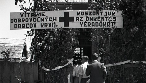 Darovanie krvi v 50. rokoch: Prídelové lístky na mäso, maslo či čokoládu