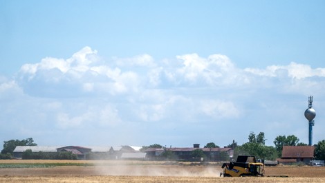 Kombajny vyšli extrémne skoro: Slovenskú úrodu zrazili sucho a horúčavy