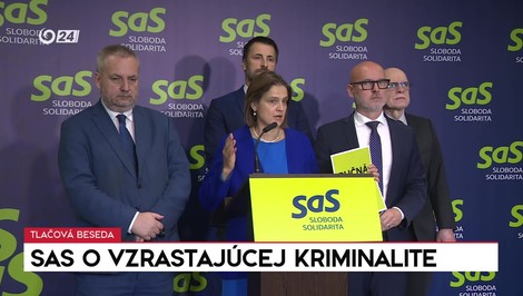 SaS prišla s riešením nárastu kriminality: Po druhej krádeži má nasledovať „tréning“ vo väzení