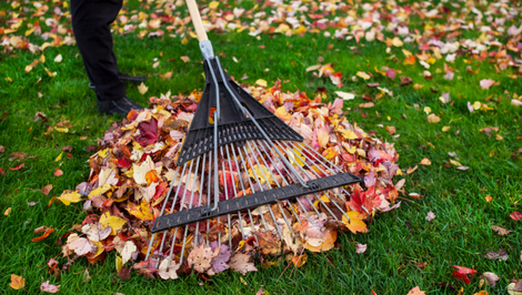 Poradíme, AKO pripraviť záhradu na zimu