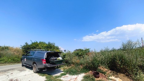 V Rajeckej doline náhaňal medveď auto aj cyklistov. Príčinou bol nelegálny biologický odpad
