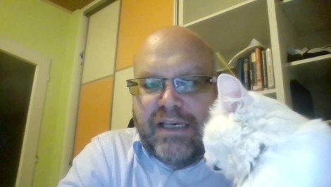 Mačacia hviezda JOJ24 opäť úraduje. Jetelina si znova podmanila živé vysielanie