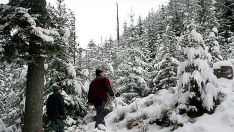 Hmla neustupuje, no prichádza zlom. Dočkáme sa bielych Vianoc?