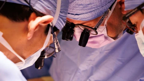 Rekord v xenotransplantácii: Prasacia oblička fungovala v tele muža 271 dní