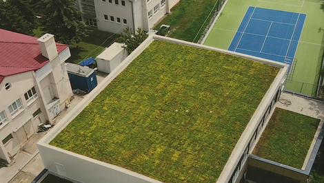 Horúčavy, suchá, búrky: samosprávy hľadajú spôsoby, ako sa prispôsobiť klimatickým zmenám