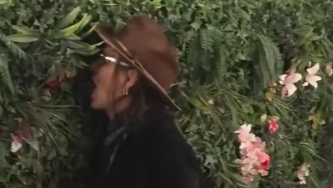 Zbláznil sa? Johnny Depp začal pred kamerami obžierať umelé rastliny na zelenej stene!