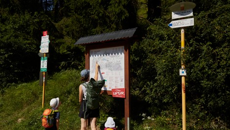 Jedlo v ruksaku ani voňavka medveďa neprilákajú. Táto častá chyba však môže