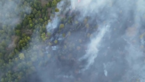 Rozsiahly požiar na Kysuciach: Oheň bolo vidieť na kilometre, hasiči bojovali celú noc