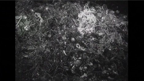 Štúdio 24: Prečo nezabúdať na Holokaust?