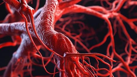 Neprúdi vám krv dostatočne? TOTO JE 10 spôsobov, ako si zlepšiť krvný obeh