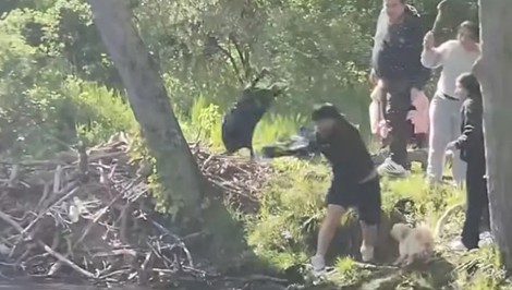 Chlapec (8) sa pobil s bobrom, ktorý ho uhryzol. Potom prišla šokujúca správa