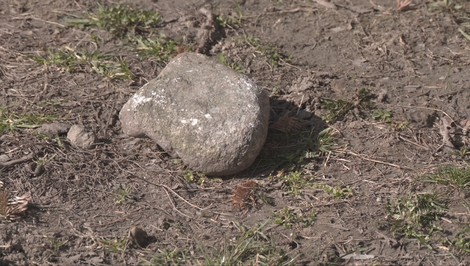 Agresor v centre mesta: Kameňom ničil autá, kopal do dverí bytu