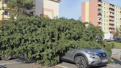 Silný vietor zlomil 10-metrový vianočný stromček, poškodil dve autá