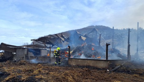 FOTO: Hasiči zachraňovali zvieratá z horiaceho senníka. Kobyla a jedno žriebä neprežili