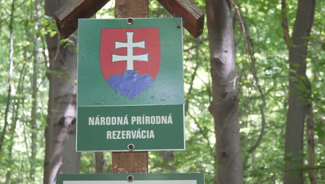 Lesníčky cestovali stovky kilometrov za našimi unikátnymi lesmi. Ich cieľom boli Poloniny