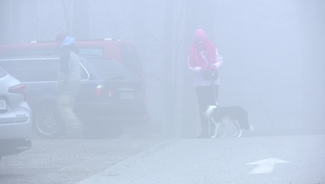 Slovensko v bielom: Posledné týždne viditeľnosť znižuje hustá hmla