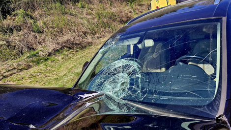 Cyklista prešiel v zákrute do protismeru, po zrážke s autom zomrel