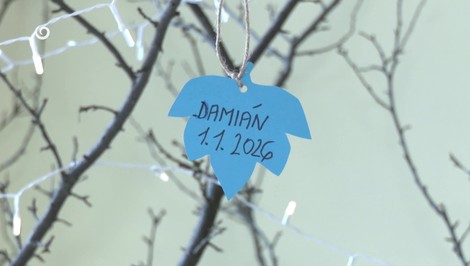 Prvým novorodencom v Nitre je Damiánko, Johanka je tisícim bábätkom nemocnice