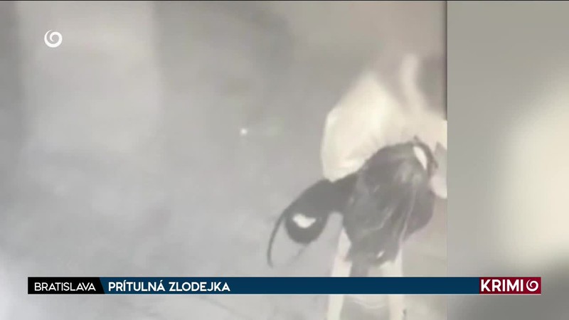 PRÍTULNÁ ZLODEJKA