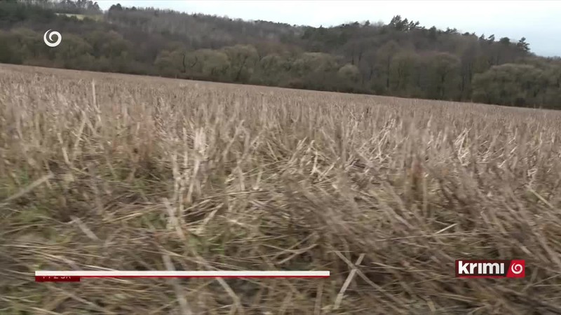 Pytliak strieľal z auta