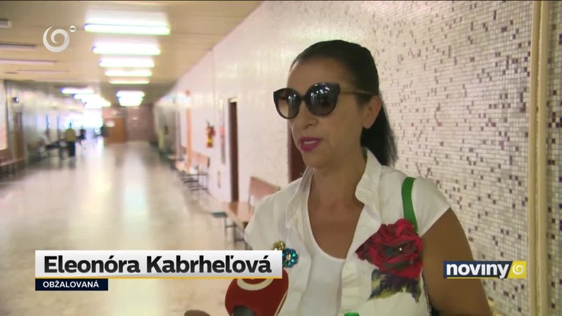 Nadmerné odpočty DPH