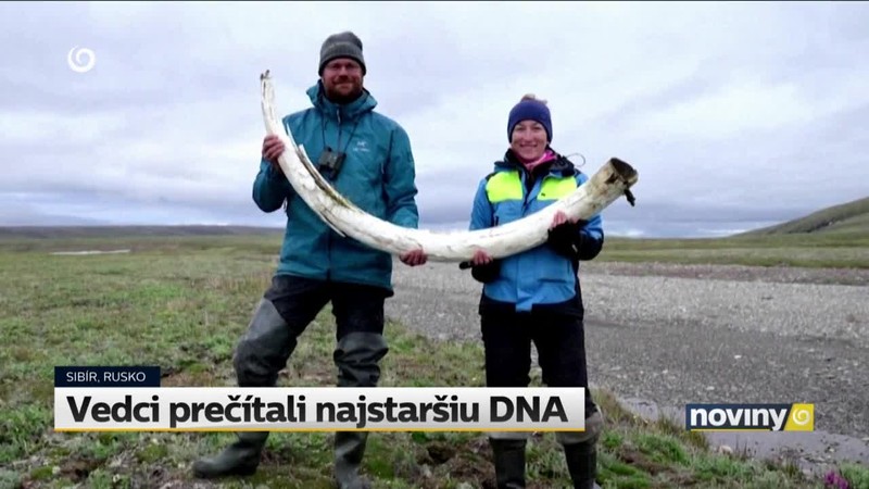 Vedci prečítali najstaršiu DNA
