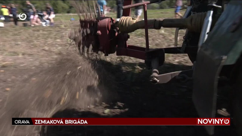 ZEMIAKOVÁ BRIGÁDA