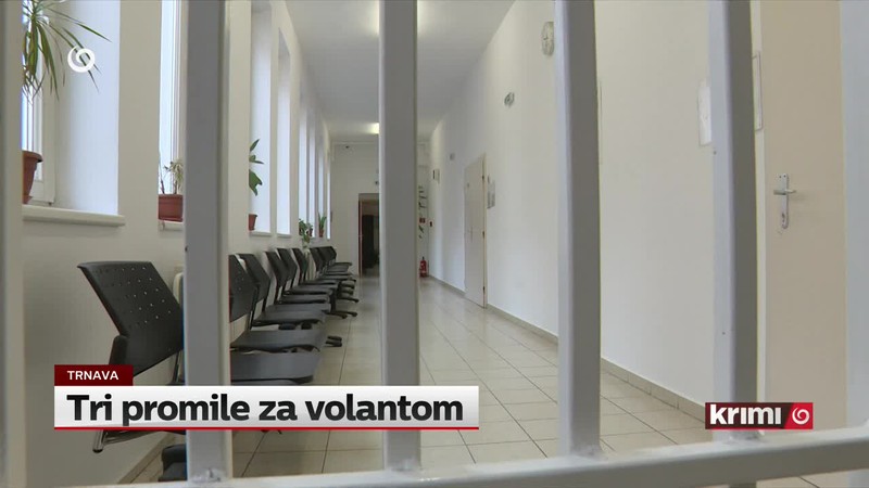 Tri promile za volantom