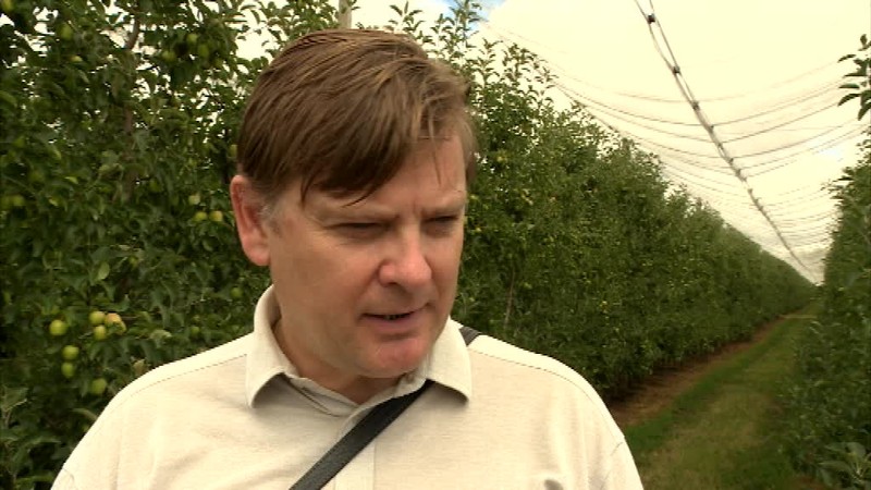 Sady ničili jarné mrazy a polia zase sucho. Úroda je nižšia a horšia bude aj kvalita