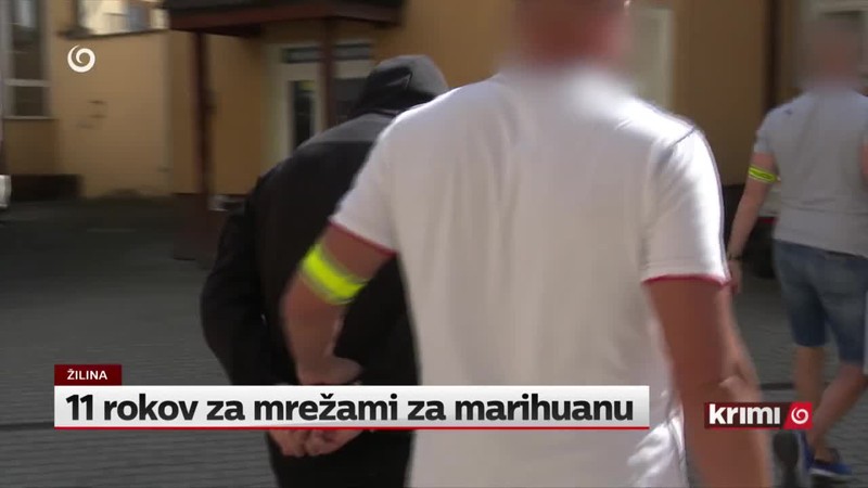 11 rokov za mrežami za marihuanu