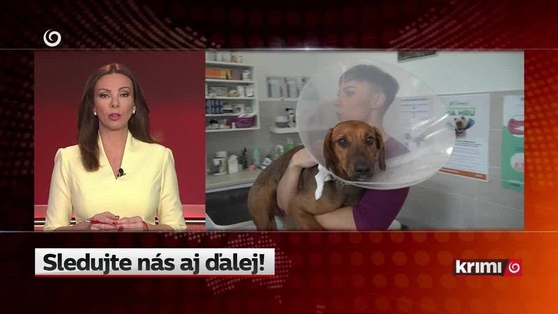 Nepriehľadná situácia s brancami