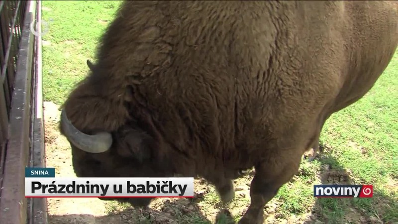 Prázdniny u babičky