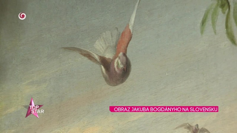 OBRAZ JAKUBA BOGDÁNYHO NA SLOVENSKU