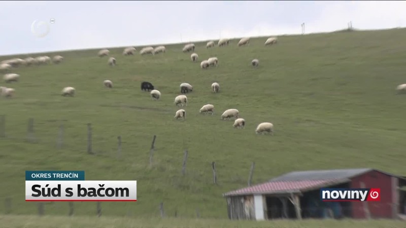 Súd s bačom