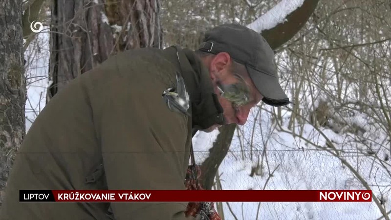 KRÚŽKOVANIE VTÁKOV
