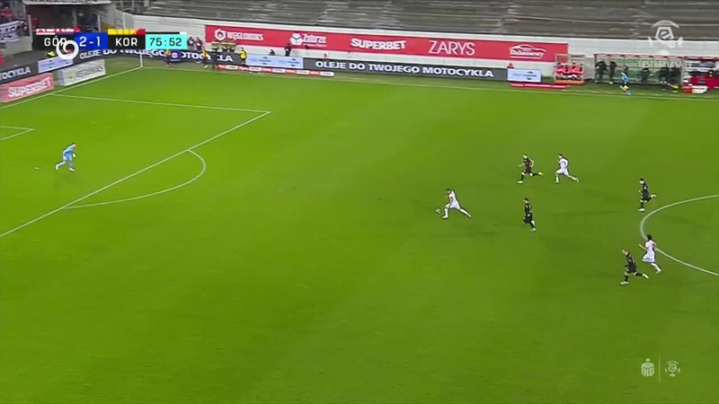 Šteniatka skončili v útulku