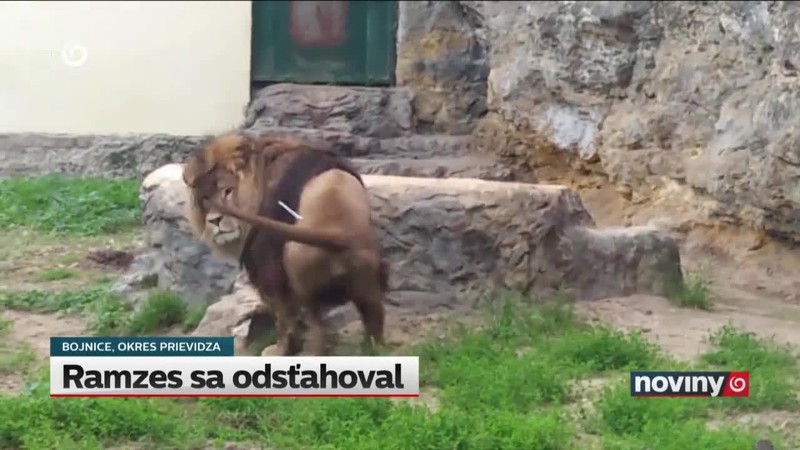 Ramzes sa odsťahoval