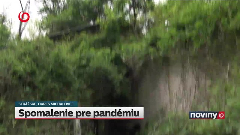 Spomalenie pre pandémiu