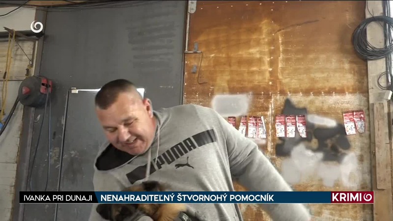 NENAHRADITEĽNÝ ŠTVORNOHÝ POMOCNÍK
