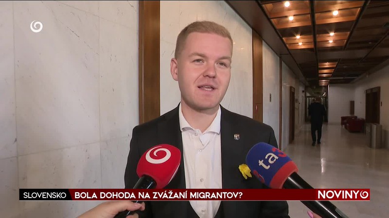BOLA DOHODA NA ZVÁŽANÍ MIGRANTOV?