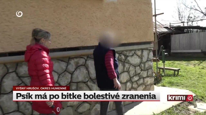 Psík má po bitke bolestivé zranenia