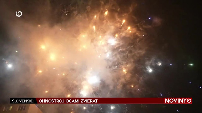 OHŇOSTROJ OČAMI ZVIERAT