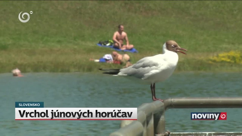 Vrchol júnových horúčav