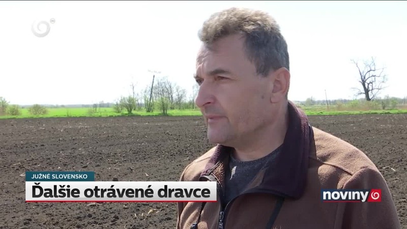 Ďalšie otrávené dravce
